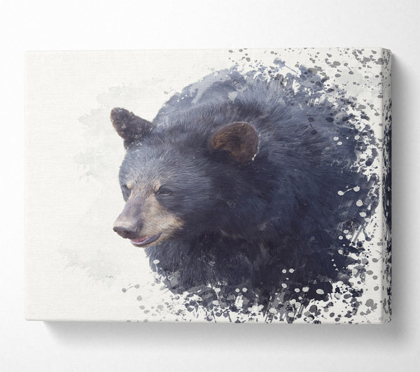  A Canvas Print of Bear Fuzz Canvas Print