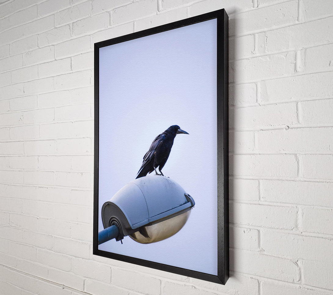  A Canvas Print of Black Crow On White Light Canvas Print