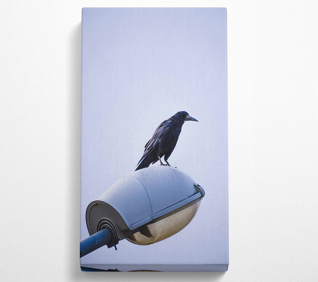  A Canvas Print of Black Crow On White Light Canvas Print