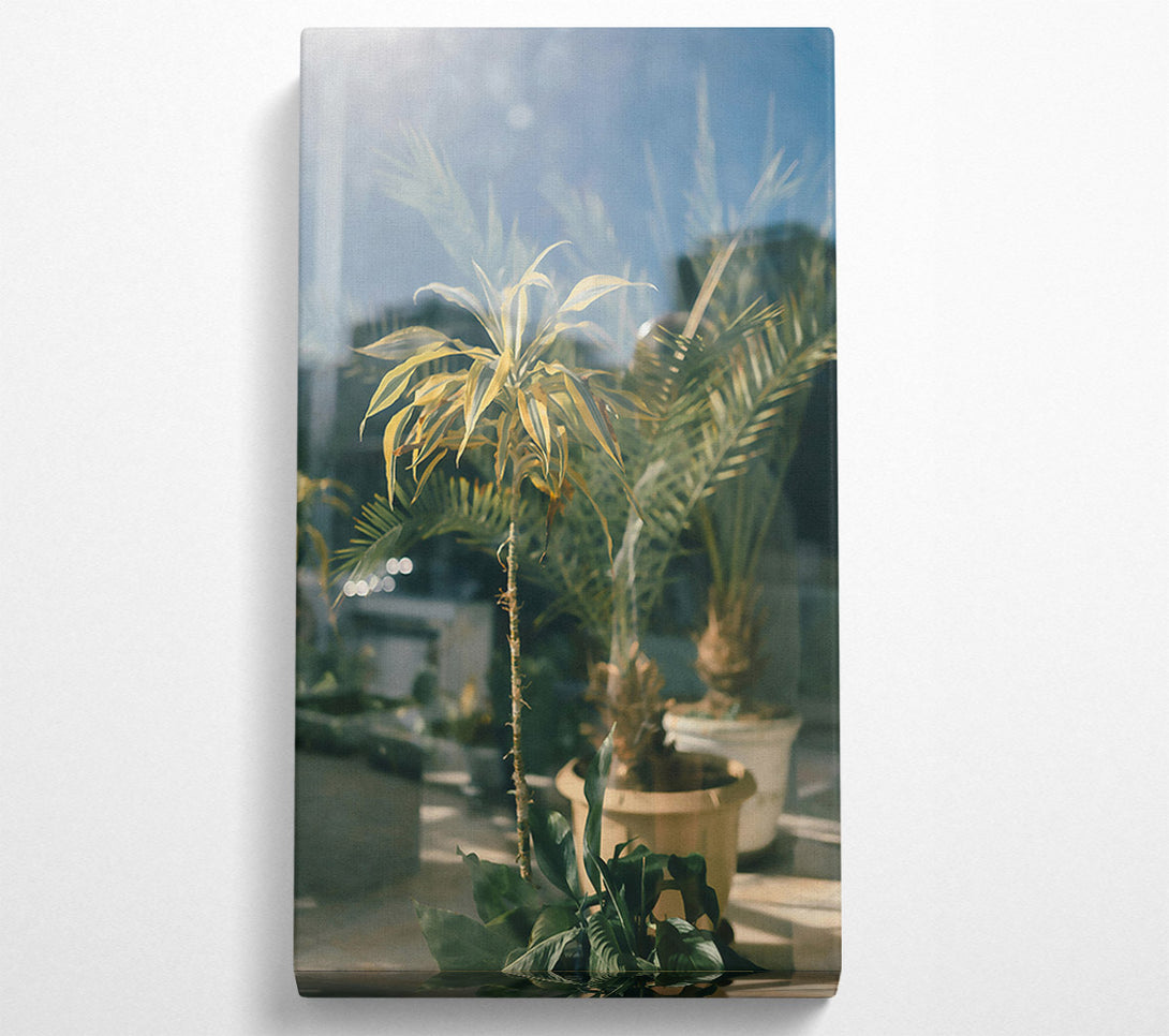  A Canvas Print of Golden Green Through Glass Canvas Print