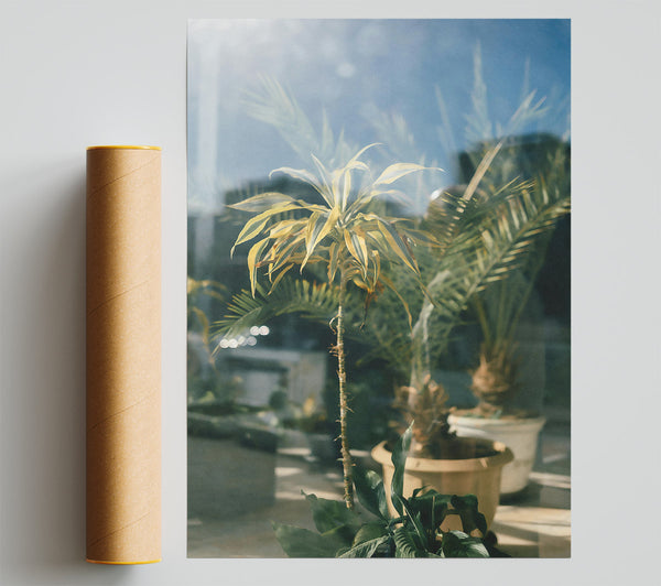 Golden Green Through Glass Poster