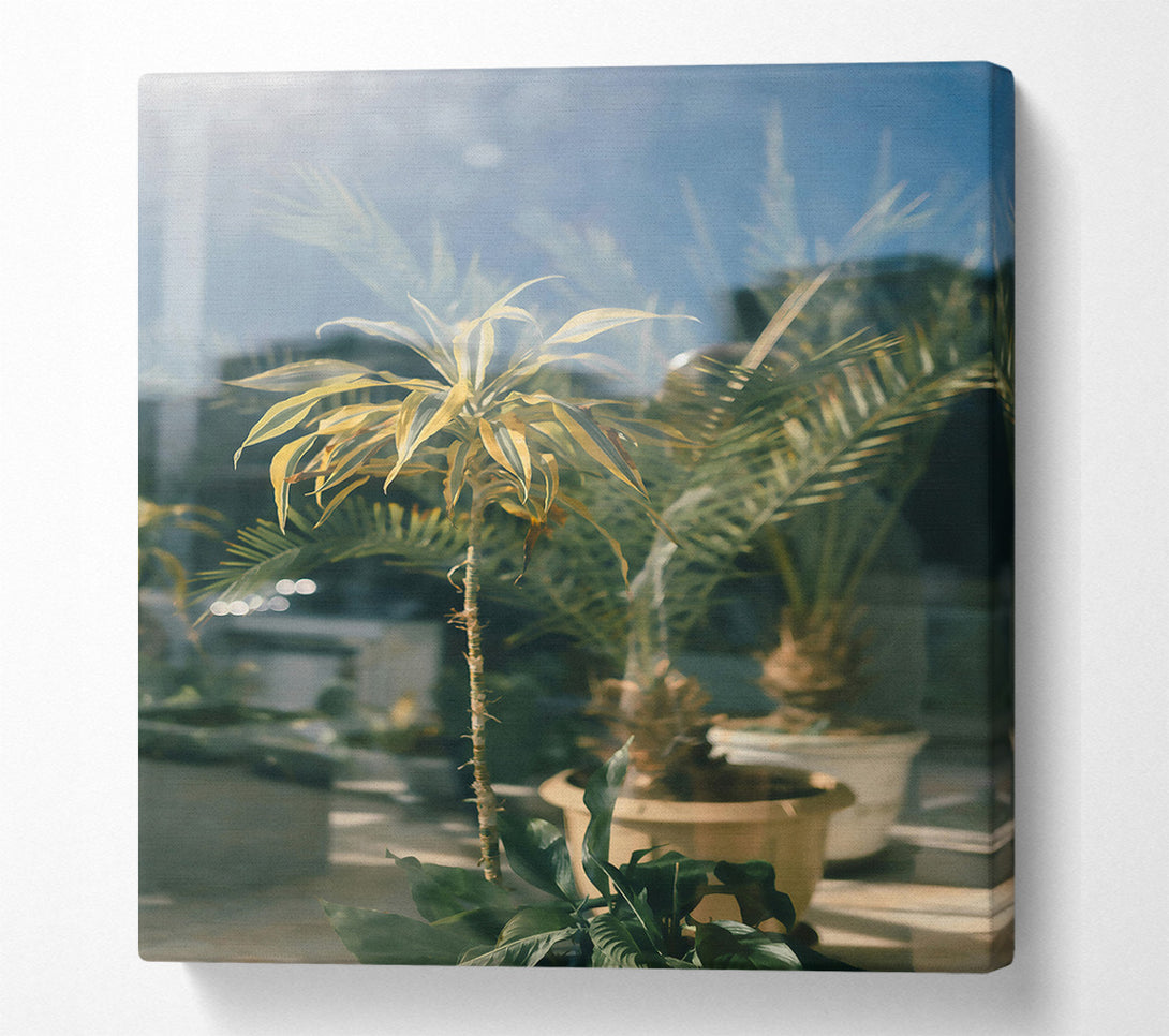  A Canvas Print of Golden Green Through Glass Canvas Print