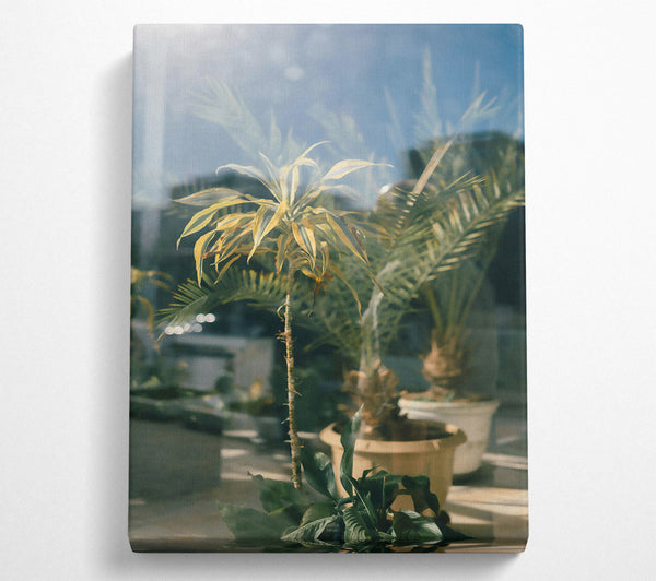  A Canvas Print of Golden Green Through Glass Canvas Print