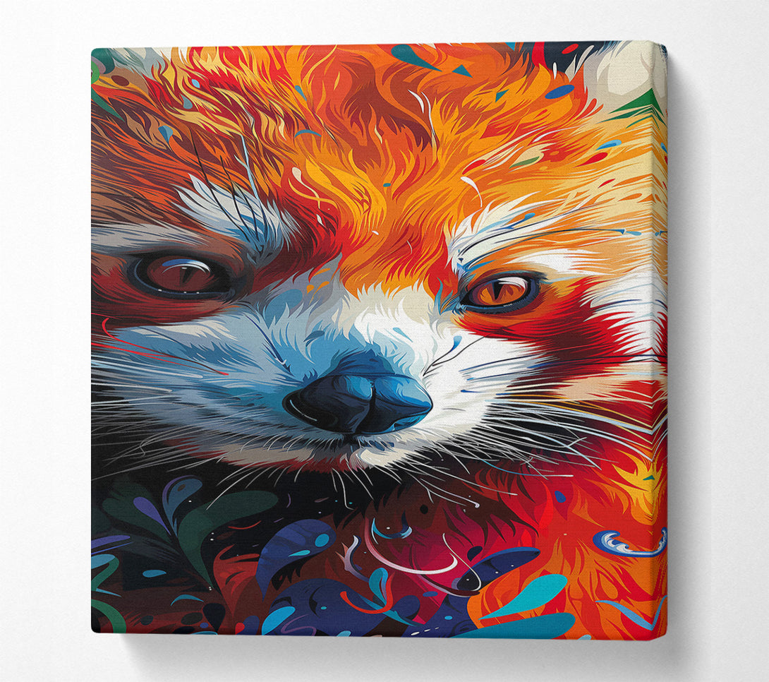  A Canvas Print of Crimson Fox Gaze Canvas Print