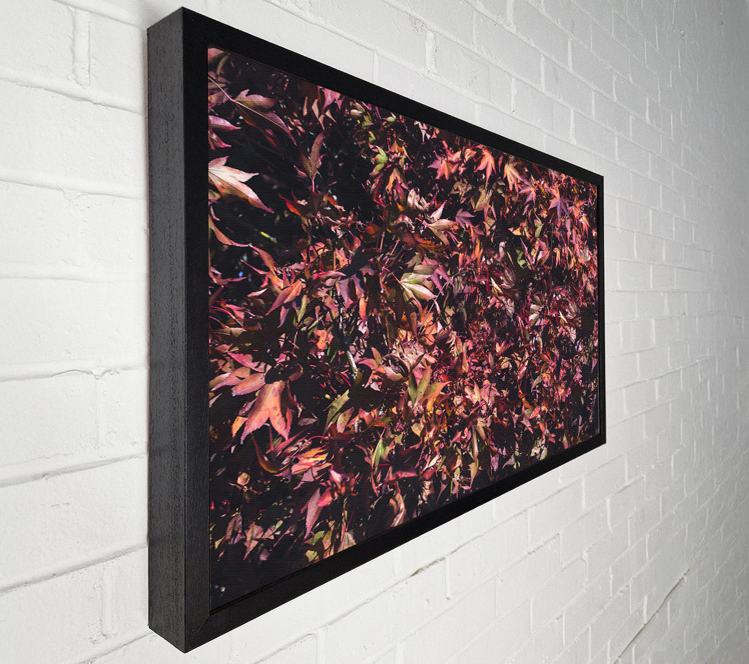  A Canvas Print of Crimson Leaf Cluster Canvas Art