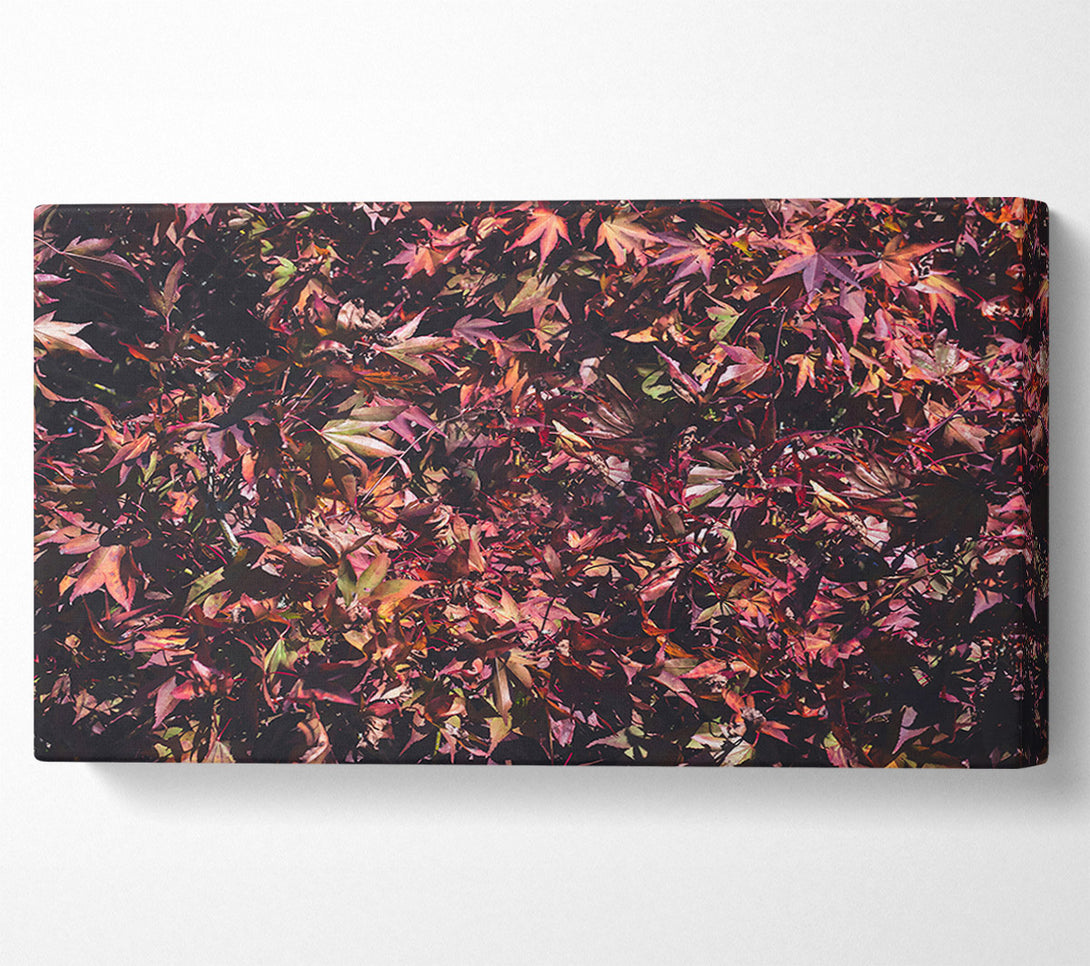  A Canvas Print of Crimson Leaf Cluster Canvas Art