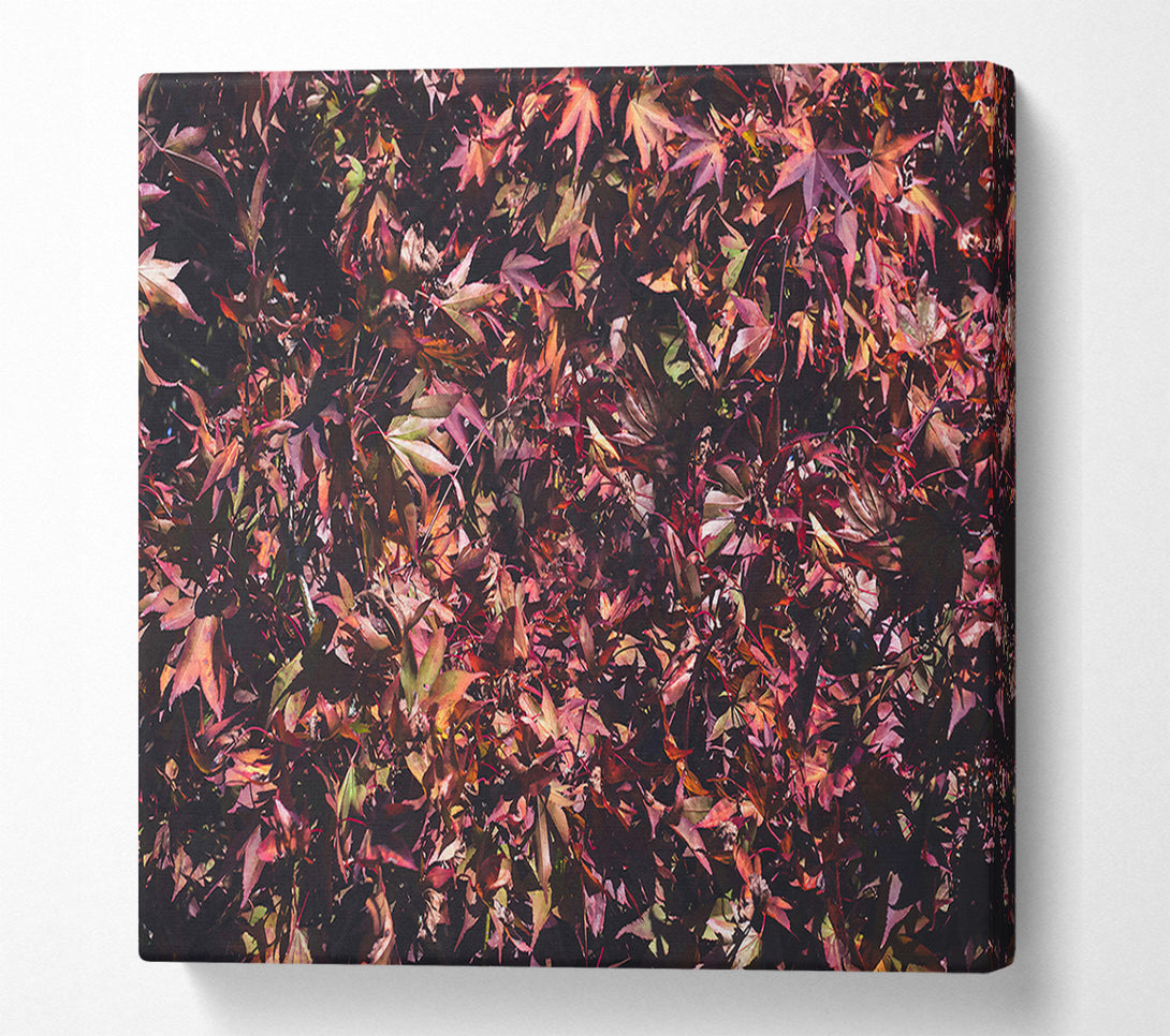  A Canvas Print of Crimson Leaf Cluster Canvas Art