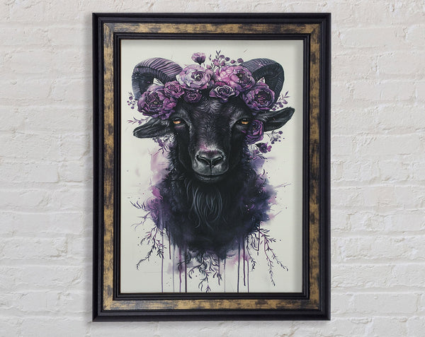 Beautiful Lilac Goat Framed Print
