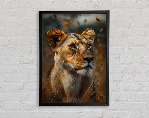 Beautiful Lioness Framed Print