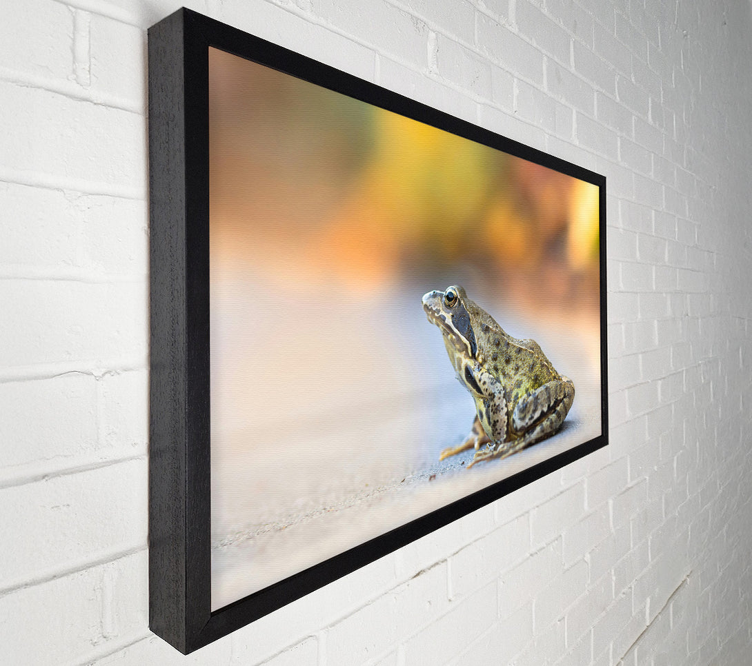  A Canvas Print of Golden Green Frog Canvas Print
