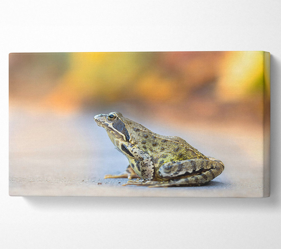  A Canvas Print of Golden Green Frog Canvas Print