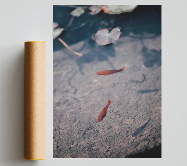 Crimson Pond Solitude. Poster