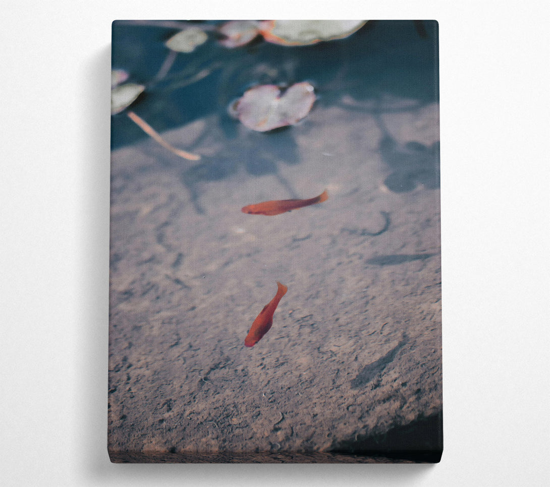  A Canvas Print of Crimson Pond Solitude. Canvas Wall Art