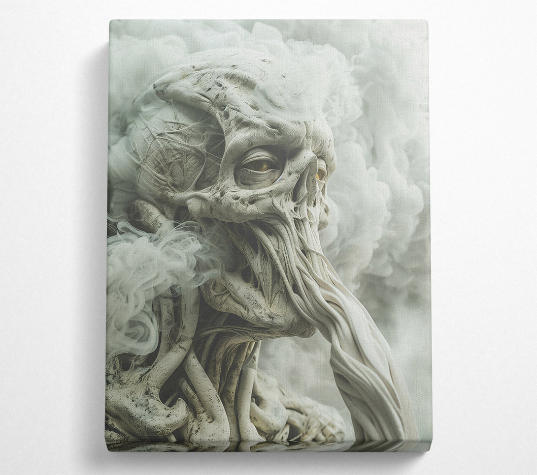  A Canvas Print of White Smoke Demon Canvas Print