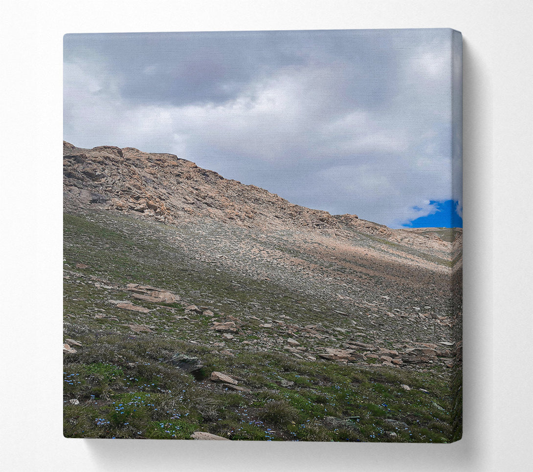  A Canvas Print of Green Mountain Shadows Canvas Art