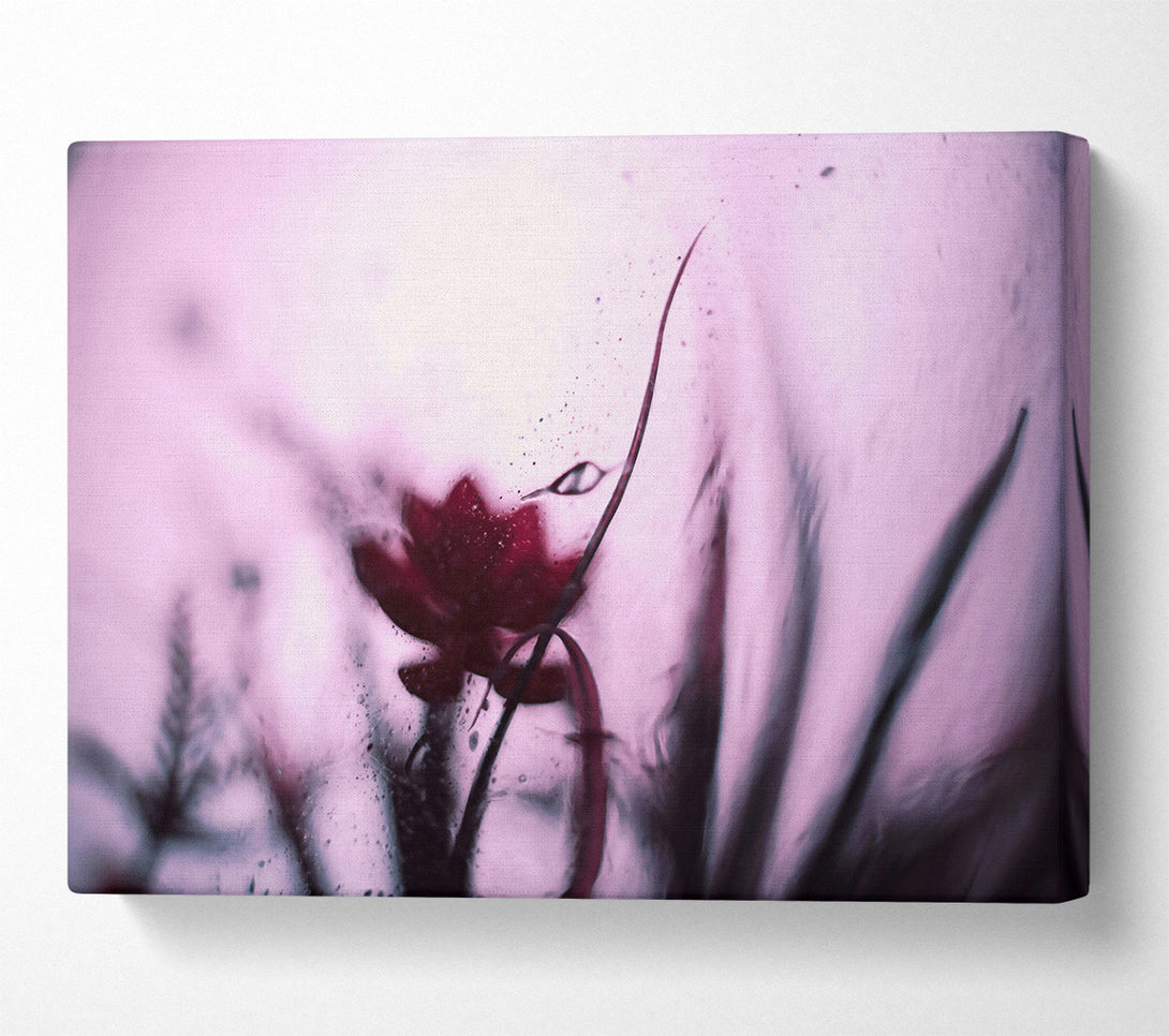  A Canvas Print of Crimson Through Glass Canvas Print