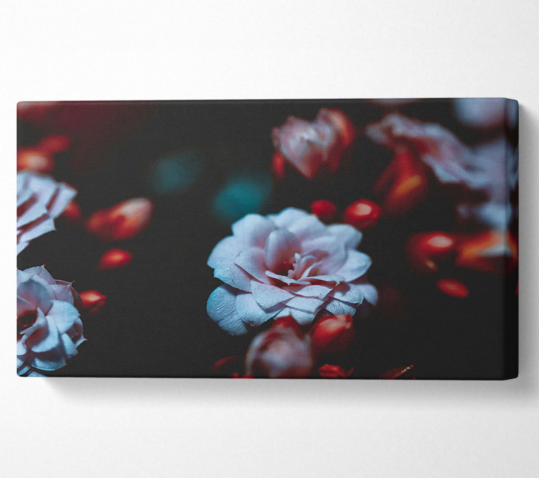  A Canvas Print of Pale Blue Bloom Canvas Print