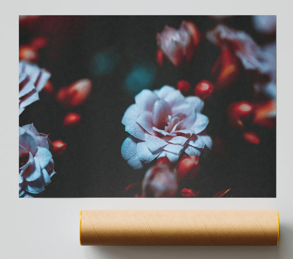 Pale Blue Bloom Poster