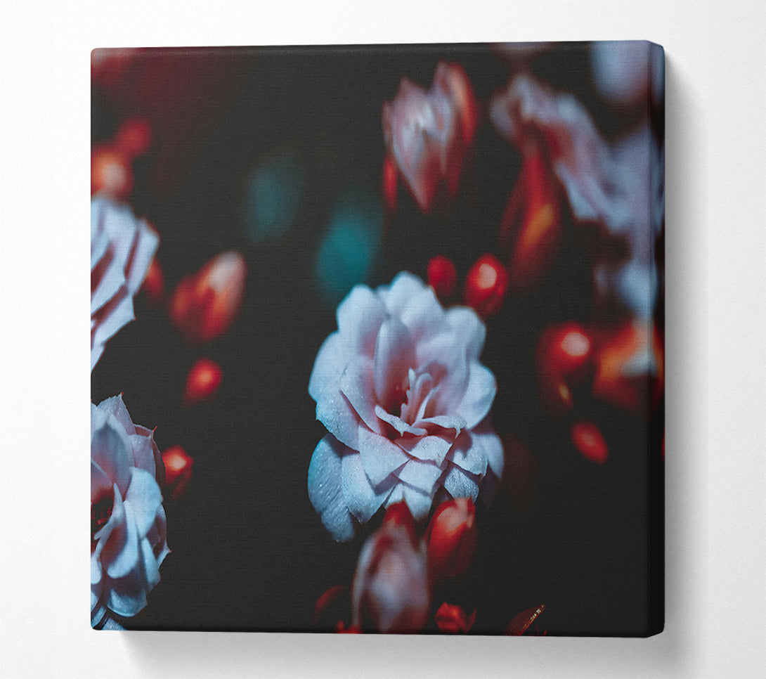 A Canvas Print of Pale Blue Bloom Canvas Print