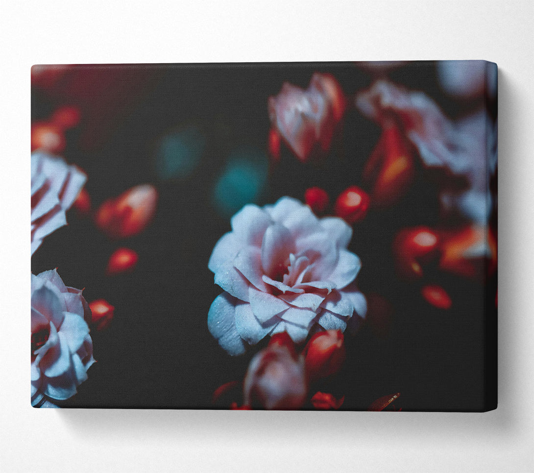  A Canvas Print of Pale Blue Bloom Canvas Print