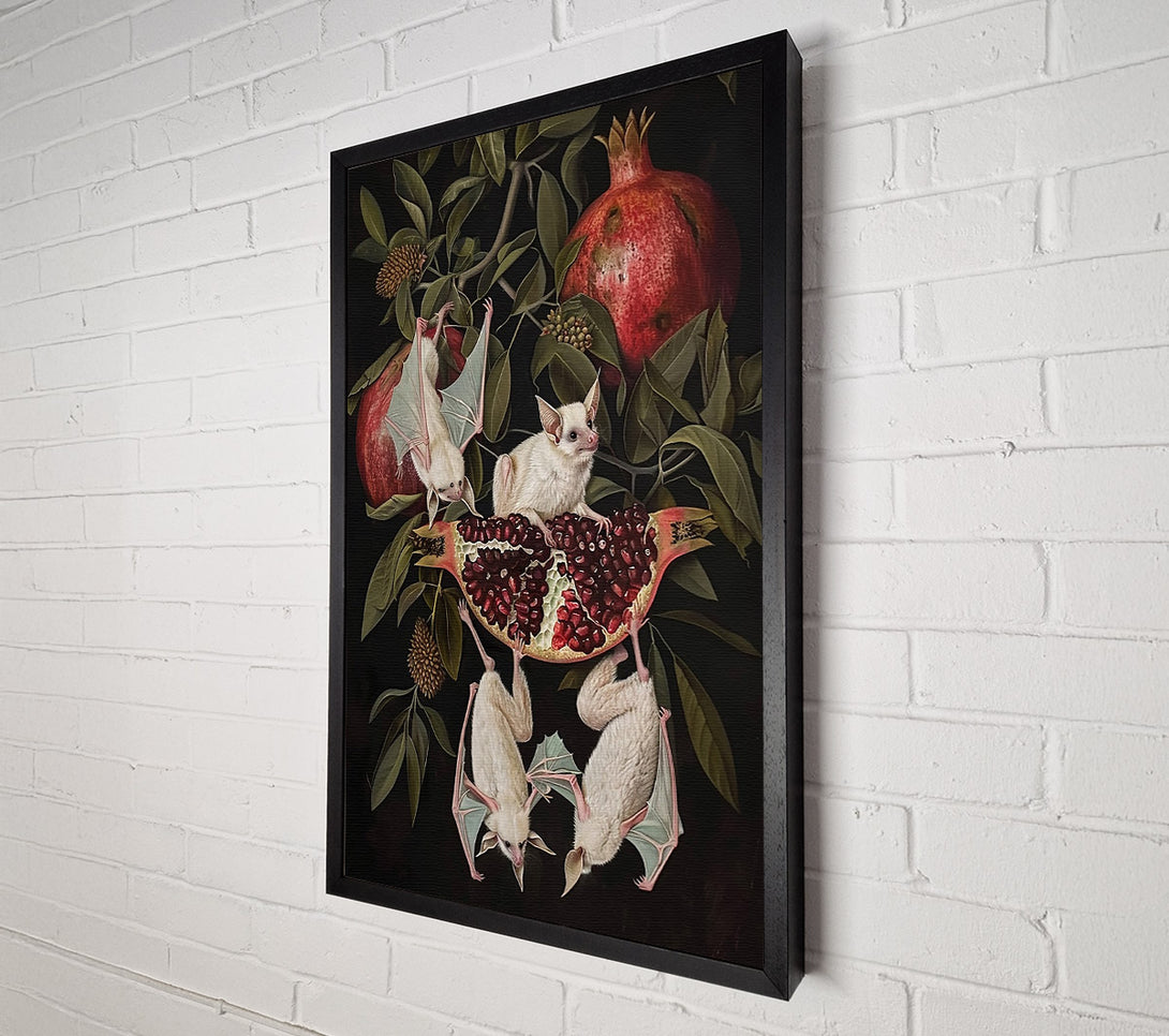  A Canvas Print of Crimson Bat & Pomegranate Canvas Wall Art