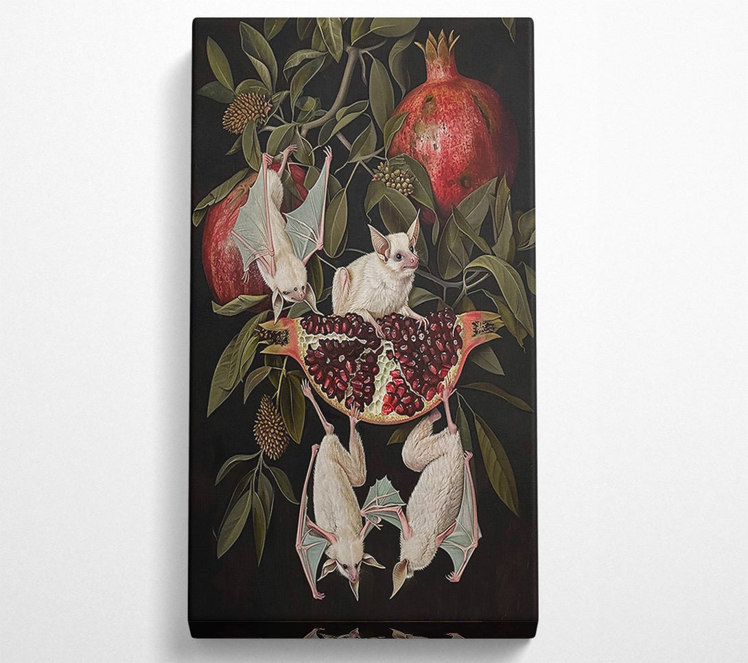  A Canvas Print of Crimson Bat & Pomegranate Canvas Wall Art