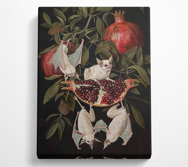  A Canvas Print of Crimson Bat & Pomegranate Canvas Wall Art