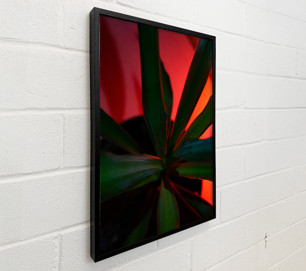 Red Hues, Green Leaves