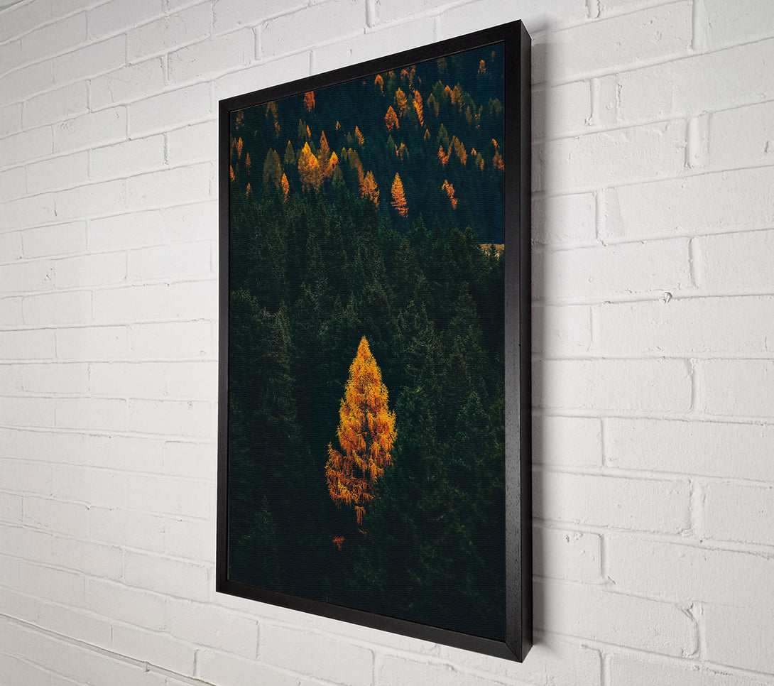  A Canvas Print of Golden Tree In The Dark Canvas Wall Art