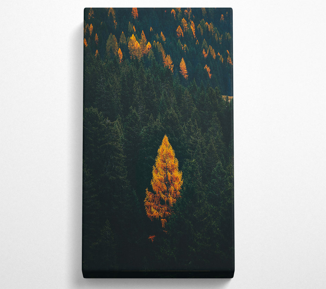 A Canvas Print of Golden Tree In The Dark Canvas Wall Art