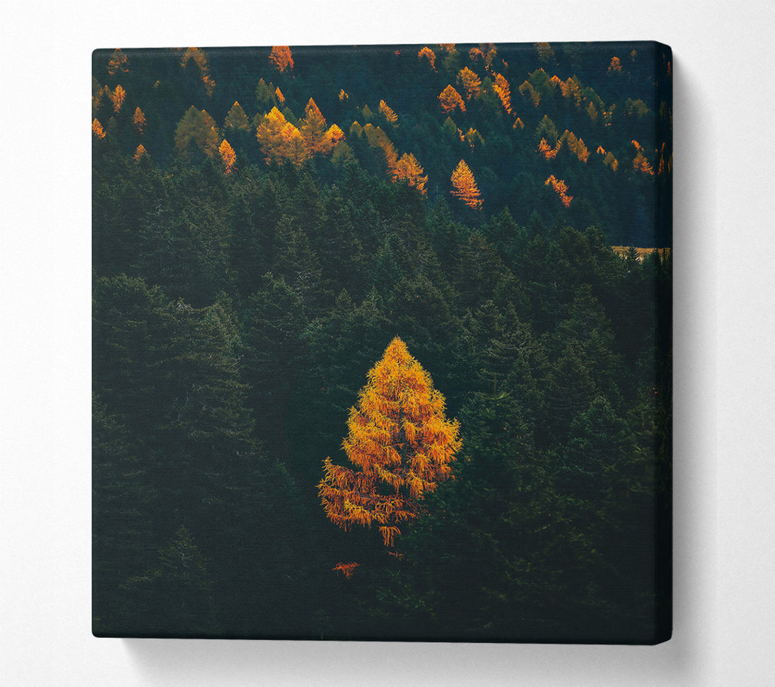  A Canvas Print of Golden Tree In The Dark Canvas Wall Art