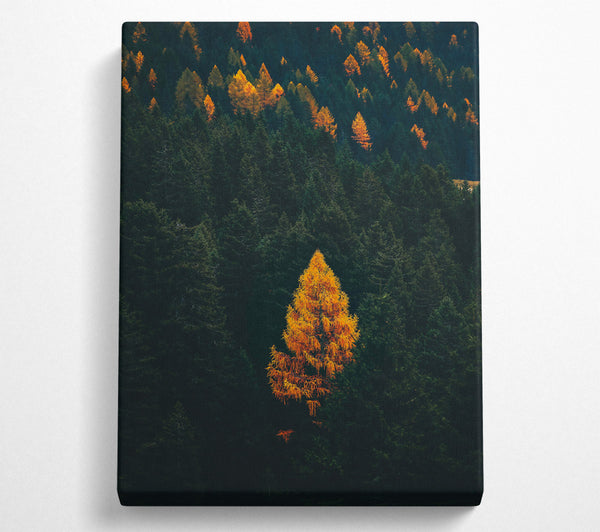  A Canvas Print of Golden Tree In The Dark Canvas Wall Art