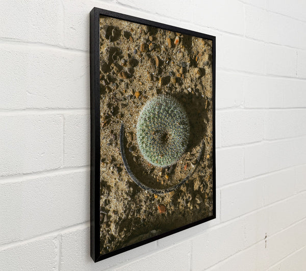 Green Desert Circle