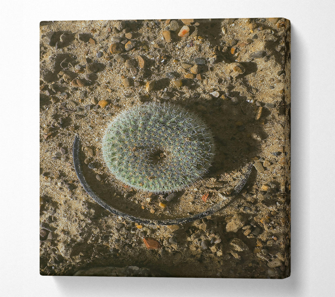  A Canvas Print of Green Desert Circle Canvas Print