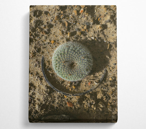  A Canvas Print of Green Desert Circle Canvas Print