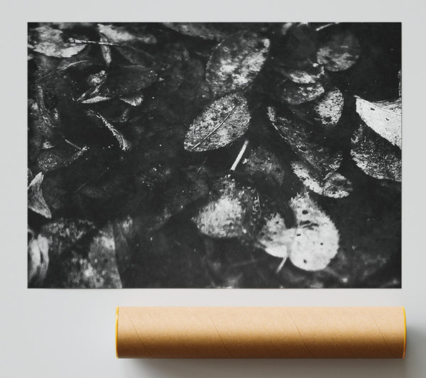 White Leaves On Black Poster