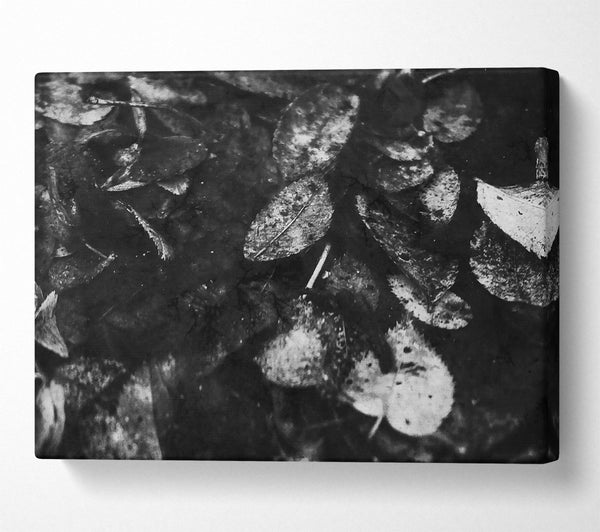  A Canvas Print of White Leaves On Black Canvas Art