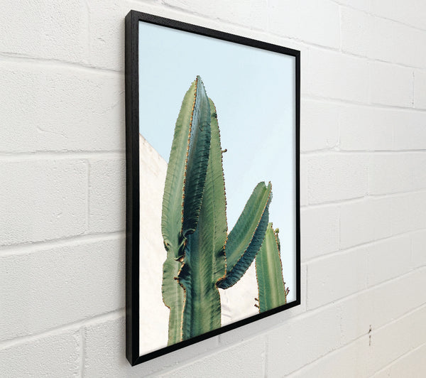 Big Green Cactus
