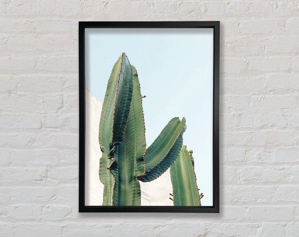 Big Green Cactus Framed Print