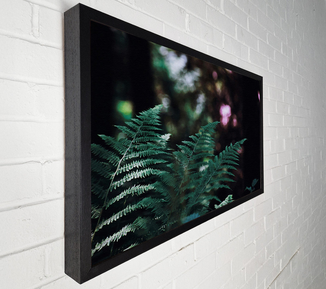  A Canvas Print of Emerald Fern Whisper Canvas Wall Art