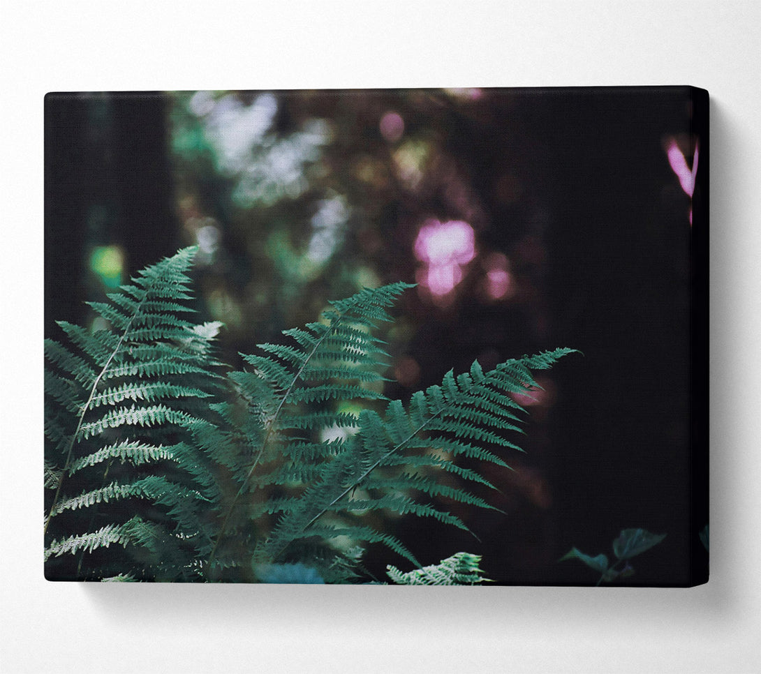  A Canvas Print of Emerald Fern Whisper Canvas Wall Art