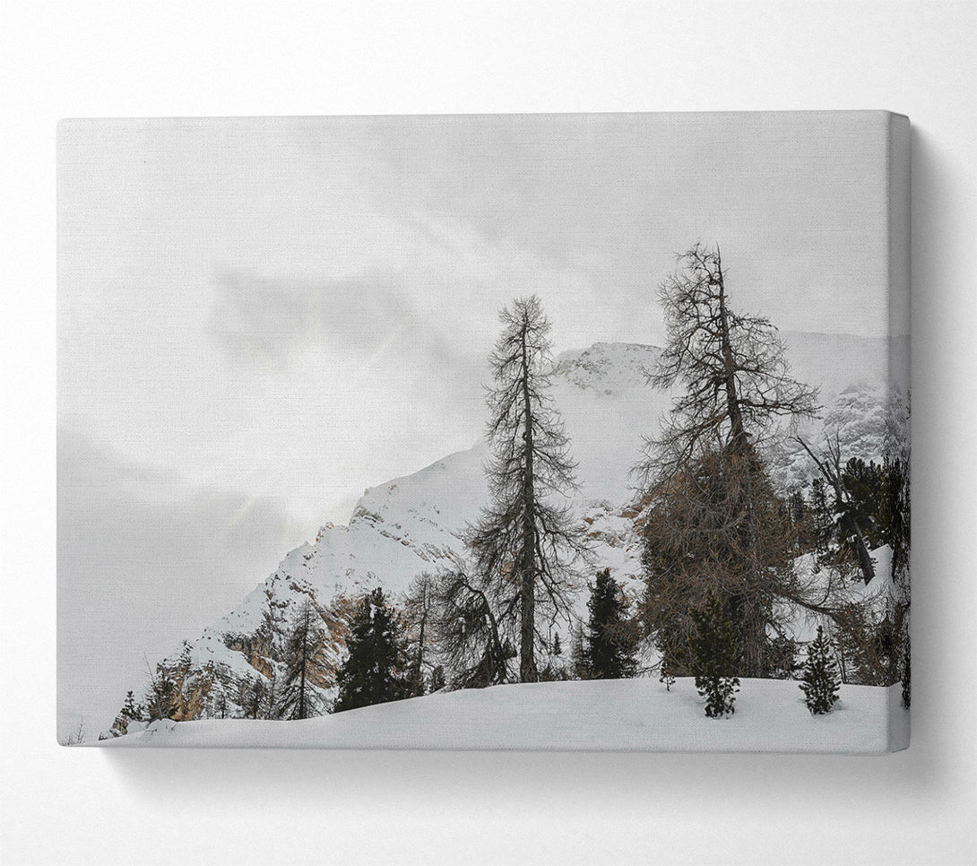  A Canvas Print of White Mountain Mist Canvas Wall Art