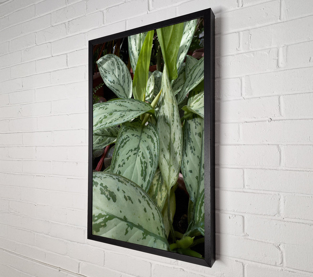  A Canvas Print of Silver Green Serenity Canvas Wall Art