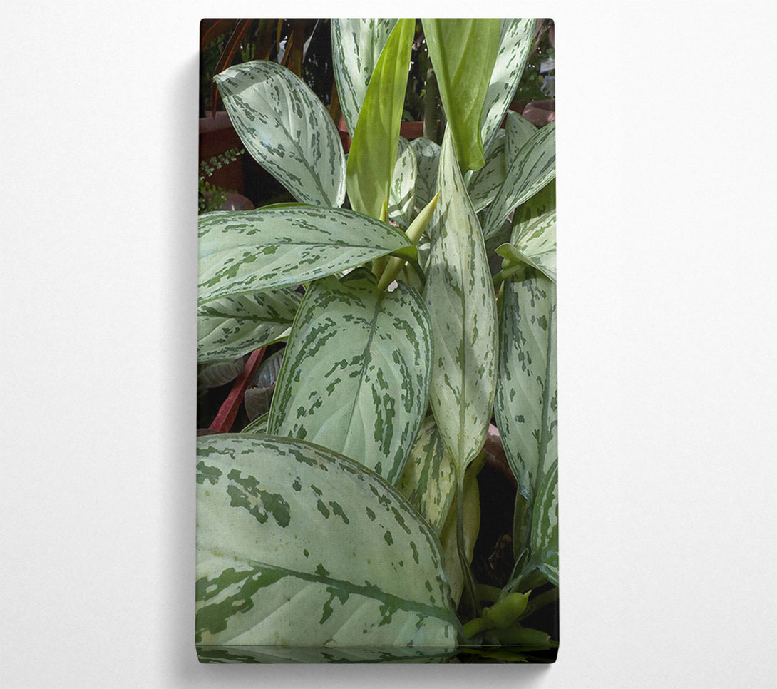  A Canvas Print of Silver Green Serenity Canvas Wall Art