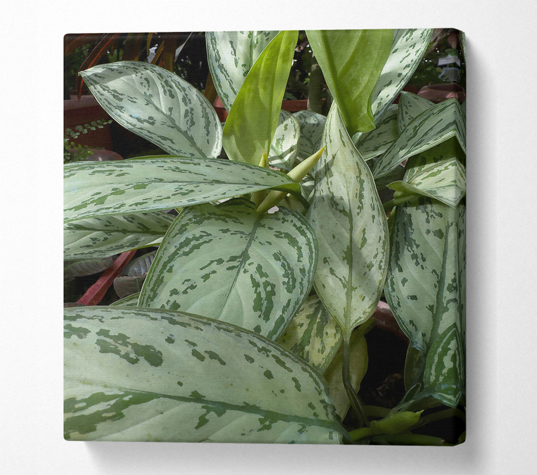 A Canvas Print of Silver Green Serenity Canvas Wall Art