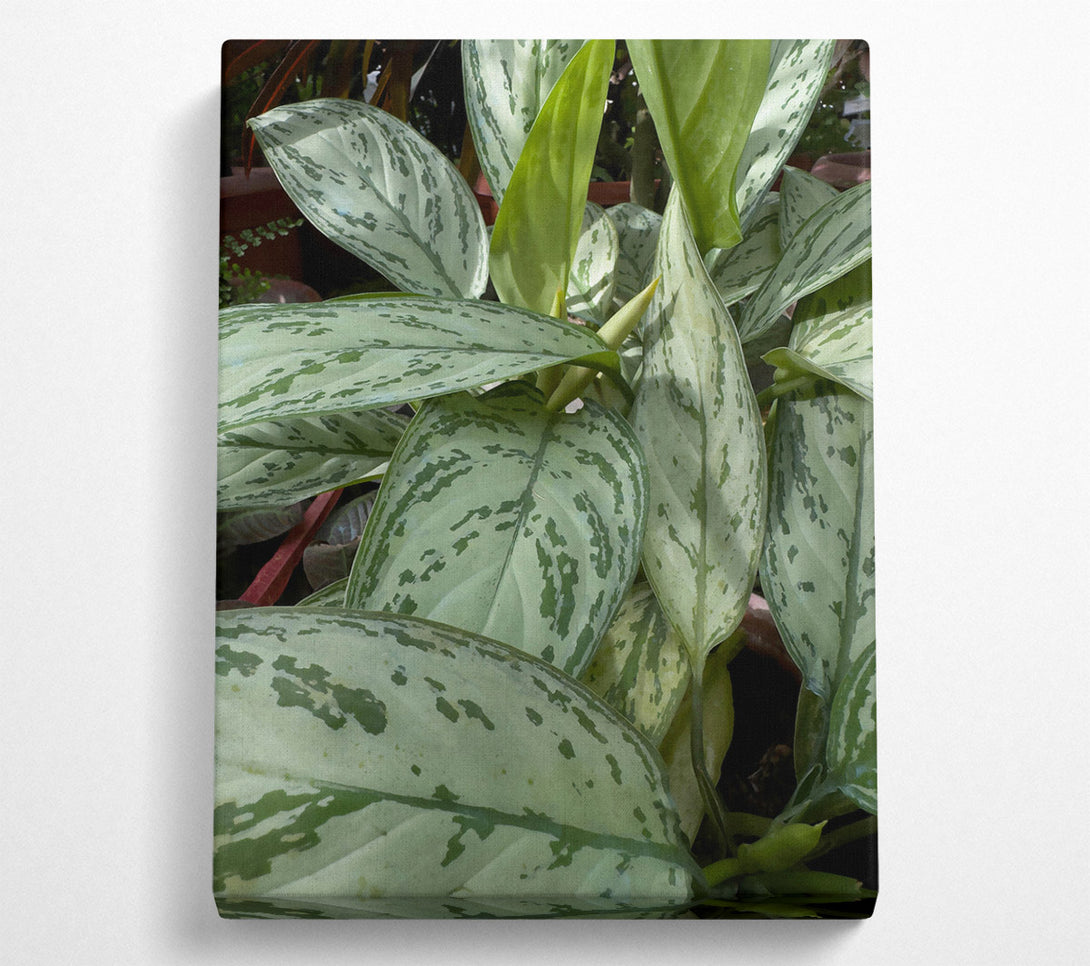  A Canvas Print of Silver Green Serenity Canvas Wall Art