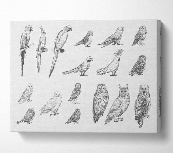  A Canvas Print of Bird Selection Canvas Art