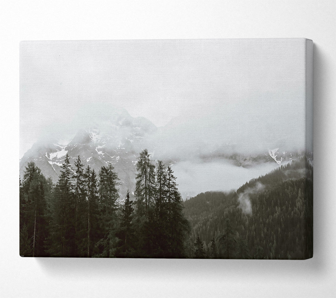  A Canvas Print of Grey Mountain Mist Canvas Art