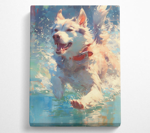  A Canvas Print of White Dog'S Splash Canvas Art