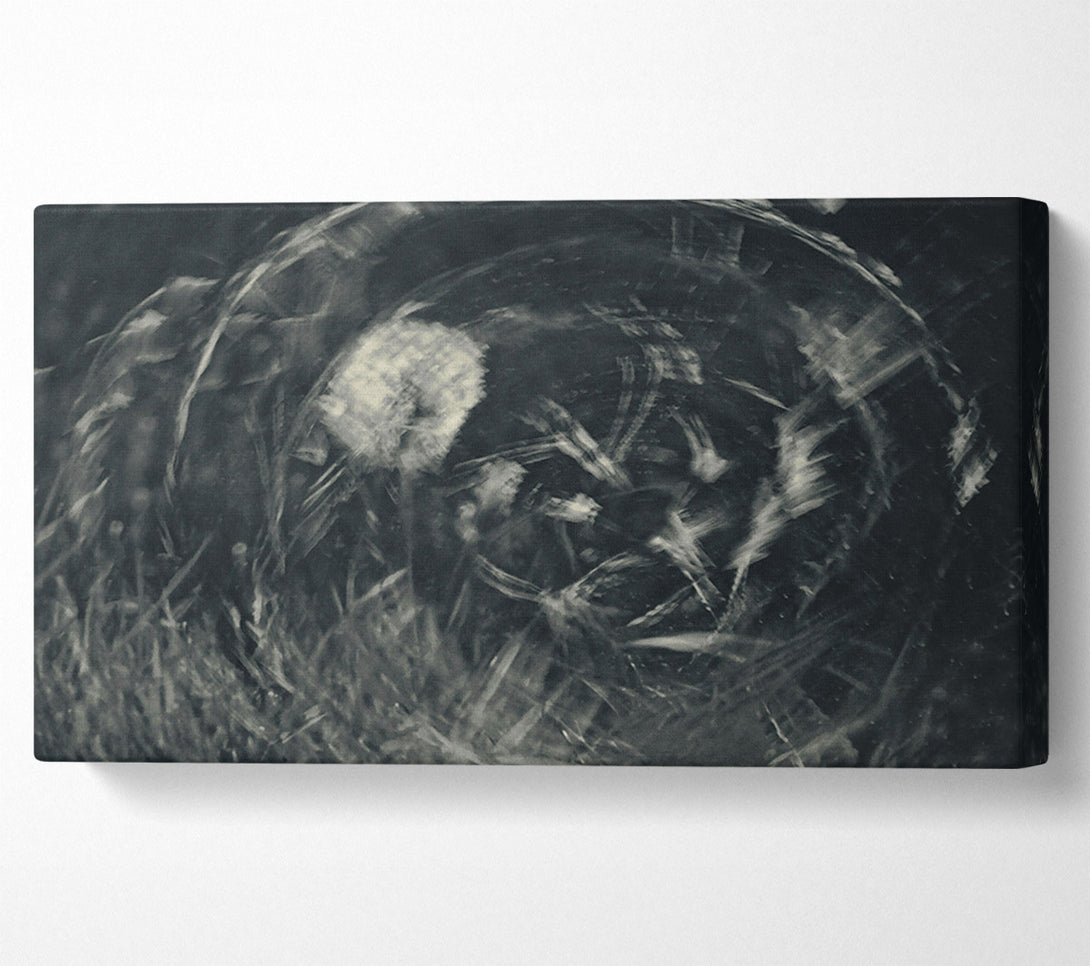  A Canvas Print of Silver Whispers Of Time. Canvas Print